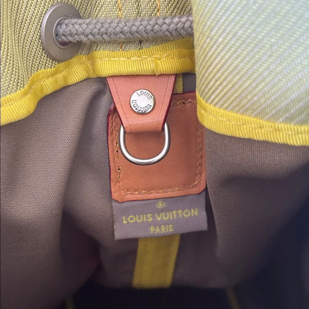 LOUIS VUITTON BUCKET BAG, 2002 Damier Geant LV Cup - Picture 10 of 14